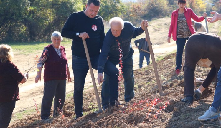 Водачът в 26 МИР Иван Ченчев и социалисти от Ботевградска община засадиха дръвчета и храсти